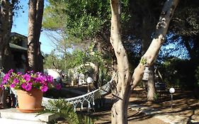Breezes B&B